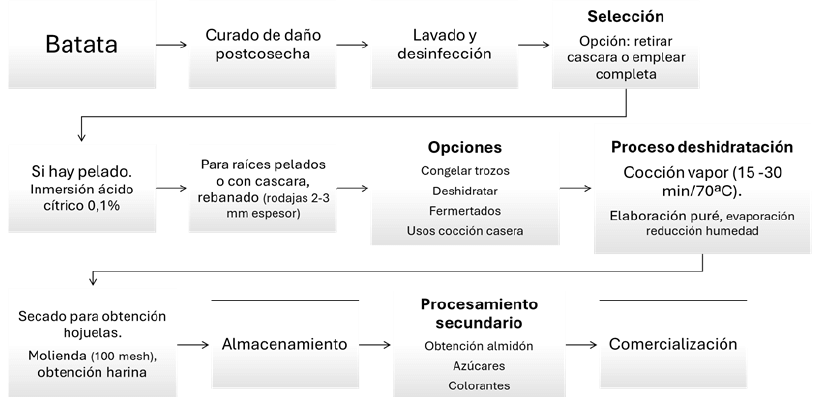 Figura 2. Cambio de color por cocción en diversos tipos de batata.