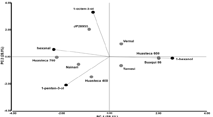 Figure 2. Biplot graphic illustrating the identified volatile compounds in soybean beverage from Mexican commercial soybean germplasm.