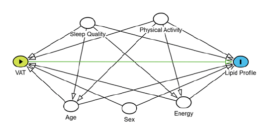 Figure 2. Directed Acyclic Graph (DAG) of the association between body fat distribution and lipid profile.