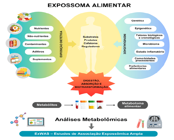 Figura 1. Expossoma alimentar, metaboloma alimentar e ferramentas de análise.