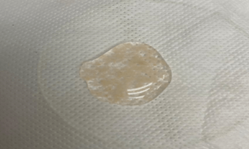 Fotografía 1: La estructura encapsulada se observa homogénea y brillante.