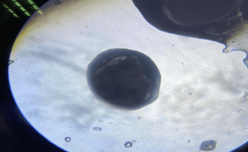 Fotografía 2: La microfotografía a 1000X muestra una partícula encapsulada