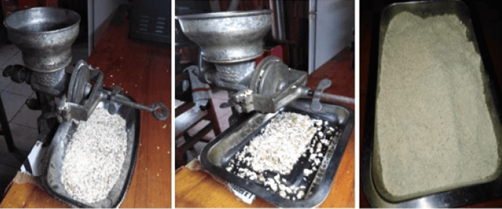 Figure 2. Representative image of milling and obtaining flour from Phaseolus Vulgaris, L.
