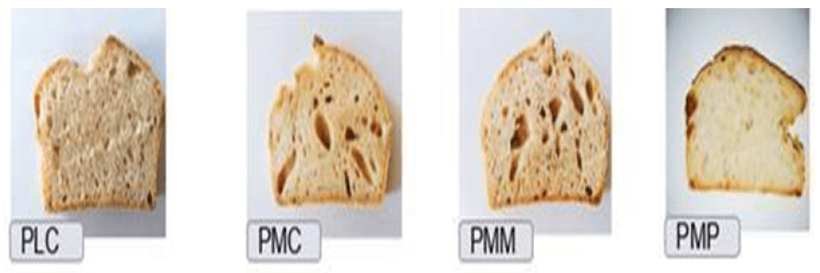 Figure 4. Representative image of bread made with common yeast (PLC), sourdough bread with wheat flour control (PMC); bread with a mixture of wheat flour sourdough and bean flour sourdough (PMM), bread with native bean sourdough (PMP).