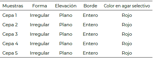 Tabla 1. Morfología colonial de aislamientos presuntivos de Salmonella spp. recuperados de muestras de carne bovina