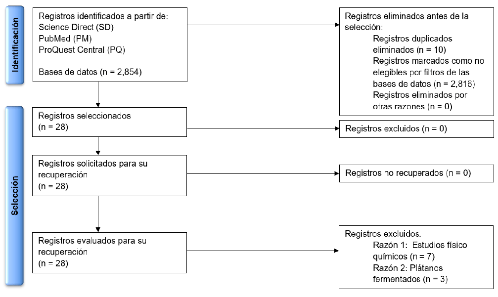 Figura 1. Identificación de estudios a través de bases de datos y registros