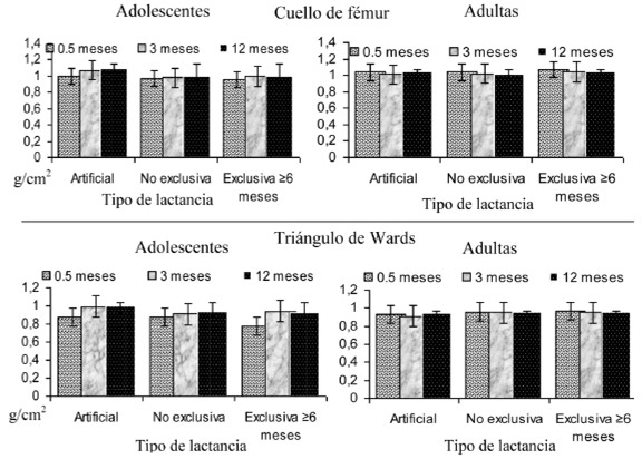 FIGURA 1B. Patrón de la DMO de cuello fémur y triángulo de Wards a 0.5, 3 y 12 meses posparto; en adolescentes y adultas por práctica de lactancia.