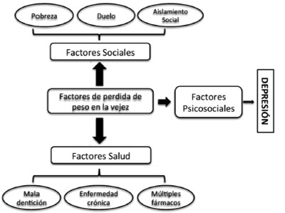 FIGURA 3 Factores asociados a la pérdida de peso durante el envejecimiento.