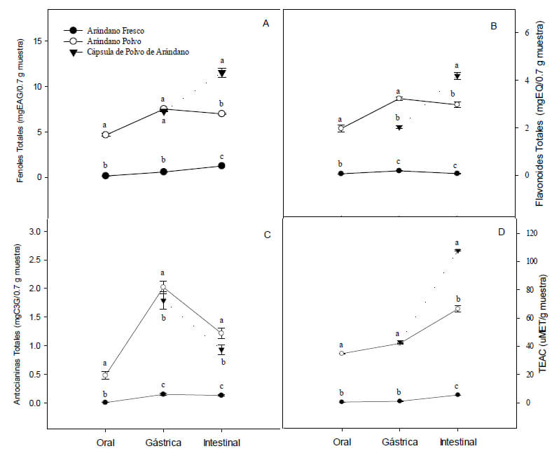 Figura 1. Contenido de fenoles totales (A), flavonoides totales (B), antocianinas totales (C) y actividad antioxidante (D) durante el proceso de digestión gastrointestinal in vitro de arándano fresco, arándano polvo y cápsula de polvo de arándano. Los valores corresponden al promedio de tres repeticiones ± desviación estándar. Medias con letras diferentes por fases de digestión para cada muestra son estadísticamente diferentes a una P<0.05.