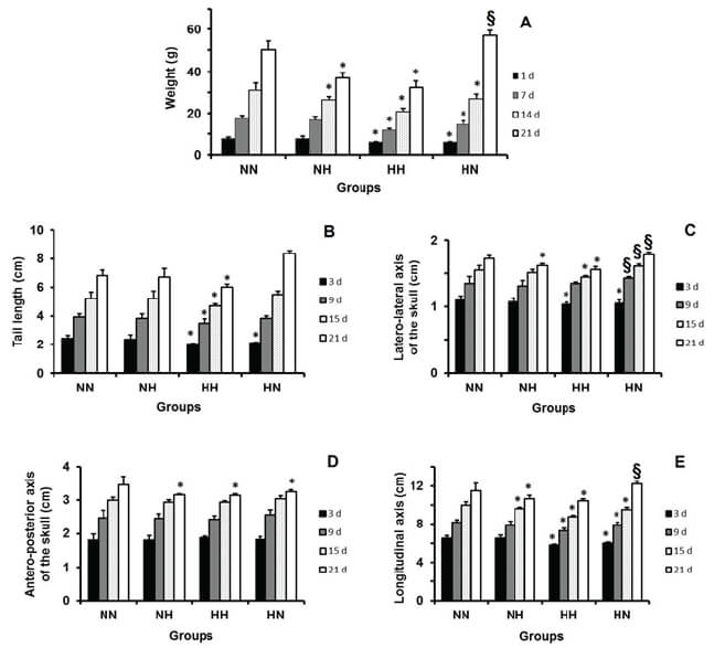 Figure 1 – Somatic growth of rat offspring Dams were fed on one of the following regimes: NN = Lab chow diet during pregnancy and lactation (n = 16); NH = Lab chow diet during pregnancy and high-fat diet during lactation (n = 11); HH = high-fat diet during pregnancy and lactation (n = 13); HN = high- fat diet during pregnancy and Lab chow diet during lactation (n = 12). Values are expressed in mean ± SD. *represents decrease (P < 0.05) and §indicates increase (P < 0.05) by comparing the groups NH, HH or HN with the group NN at each day of life (3 d, 9 d, 15 d or 21 d), respectively (one-way ANOVA, followed by Tukey test).