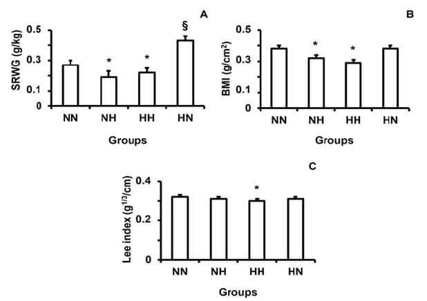 Figure 2. Murinometric parameters of rat offspring at 21 days of life Dams were fed on one of the following regimes: NN = Lab chow diet during pregnancy and lactation (n = 16); NH = Lab chow diet during pregnancy and high-fat diet during lactation (n = 11); HH = high-fat diet during pregnancy and lactation (n = 13); HN = high- fat diet during pregnancy and Lab chow diet during lactation (n = 12). SRWG = specific rate of body gain weight; BMI = Body mass index. Values are expressed in mean ± SD. *represents decrease (P < 0.05) and §indicates increase (P < 0.05) by comparing the groups NH, HH or HN with the group NN (one-way ANOVA, followed by Tukey test).