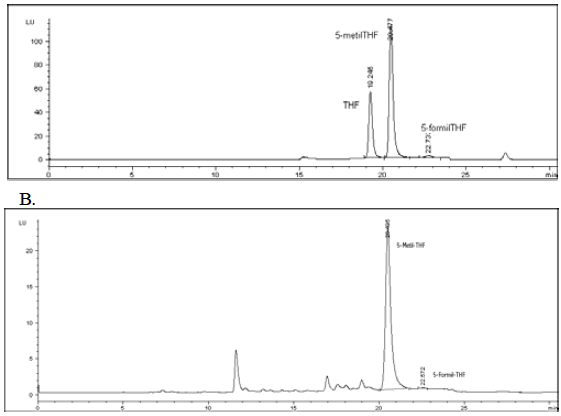 FIGURA 1 Perfil cromatográfico dos padrões de folatos (A) e do extrato de espinafre (B). Coluna Microsorb-MV, ODS-2, 5um, 250X4,6mm. Fase móvel: 100% de solução aquosa de ácido acético (2%) no início da corrida, chegando em 25 minutos a 76% de solução de ácido acético e 24% de acetonitrila. Fluxo de 0,5mL/min. Detecção por fluorescência (λexc. 290nm e λemis.360nm)