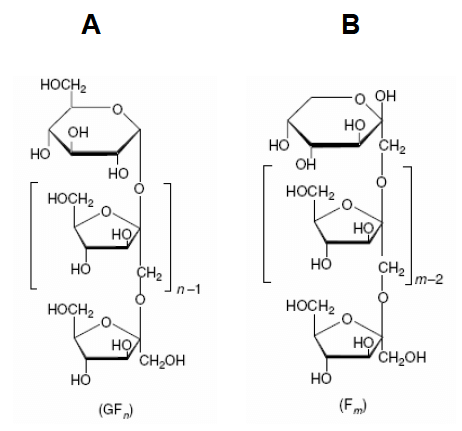 FIGURA 1 Estructura química de la inulina: con una molécula terminal de glucosa (β-D-glucopiranosil) (A) y con una molécula terminal de fructosa (β-D-fructopiranosil) (B) (1)
