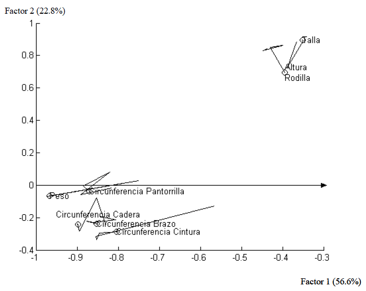 FIGURA 1 Correlaciones de las variables antropométricas con los ejes de compromiso