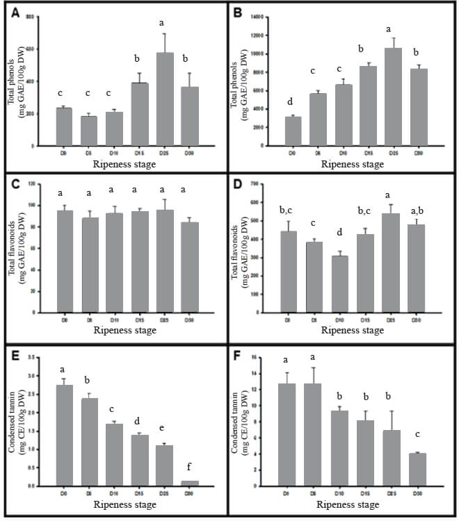 Different letters per column indicate statistical difference (p <0.05) as a result of Anova with Tukey's post hoc. 1.A: Total phenols in pulp; 1.B: Total phenols in peel; 1.C: Total flavonoids in pulp; 1.D: Total flavonoids in peel; 1.E: Condensed tannin in pulp; 1.F: Condensed tannin in peel; GAE: gallic acid equivalent of dry weight; QE: quercetin equivalent of dry weight; CE: catechin equivalent of dry weight. Figure 1. Polyphenol content in Manila mango.