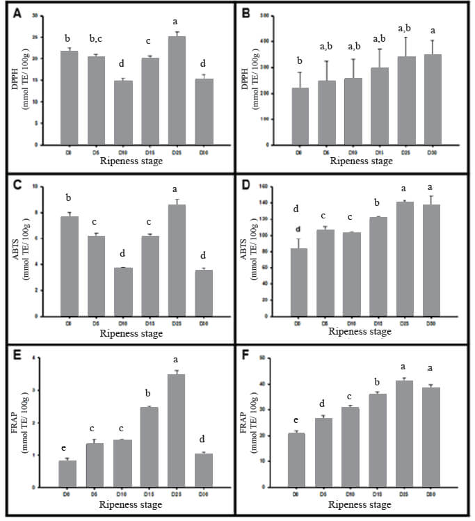 Different letters per column indicate statistical difference (p <0.05) as a result of Anova with Tukey's post hoc. 2.A: DPPH antioxidant capacity in pulp; 2.B: DPPH antioxidant capacity in peel; 2.C: ABTS antioxidant capacity in pulp; 2.D: ABTS antioxidant capacity in peel; 2.E: FRAP antioxidant capacity in pulp; 2.F: FRAP antioxidant capacity in peel; DPPH: 2,2-diphenyl-1-picrylhydrazyl; ABTS: (2,2'-azino-bis(3-ethylbenzothiazoline-6-sulfonic acid)); FRAP: Ferric reducing antioxidant power; TE: trolox (6-hydroxy-2,5,7,8-tetramethylchroman-2-carboxylic acid) equivalent of dry weight. Figure 2. Antioxidant profile of Manila mango.