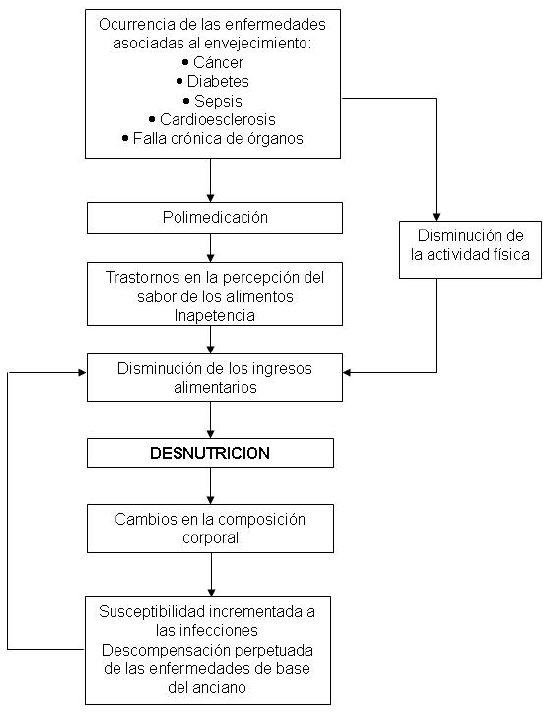 FIGURA 1 Modelo para la interpretación de la instalación de la desnutrición energético-nutrimental en la población anciana hospitalizada