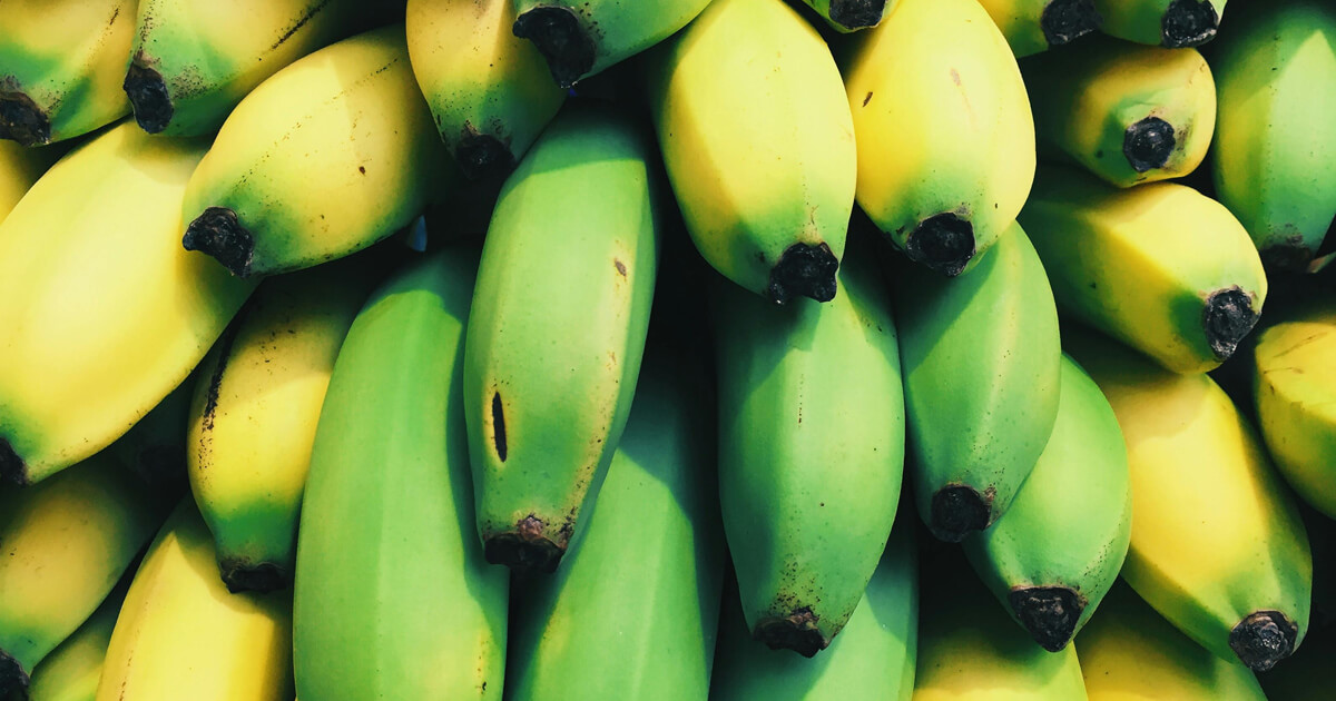 Efectos en la salud de la harina de plátano verde (Musa paradisiaca L.): el rol de compuestos biofuncionales. Revisión sistemática
