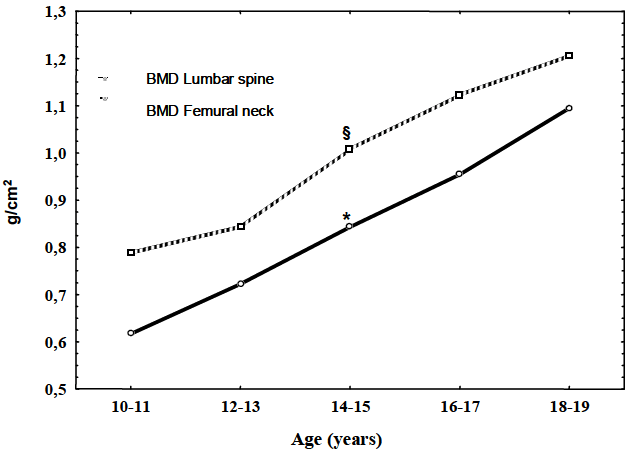 FIGURE 1 Variation in bone mineral density according to age group