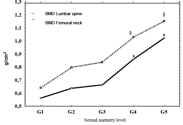 FIGURE 2 Variation in bone mineral density according to sexual maturity levels