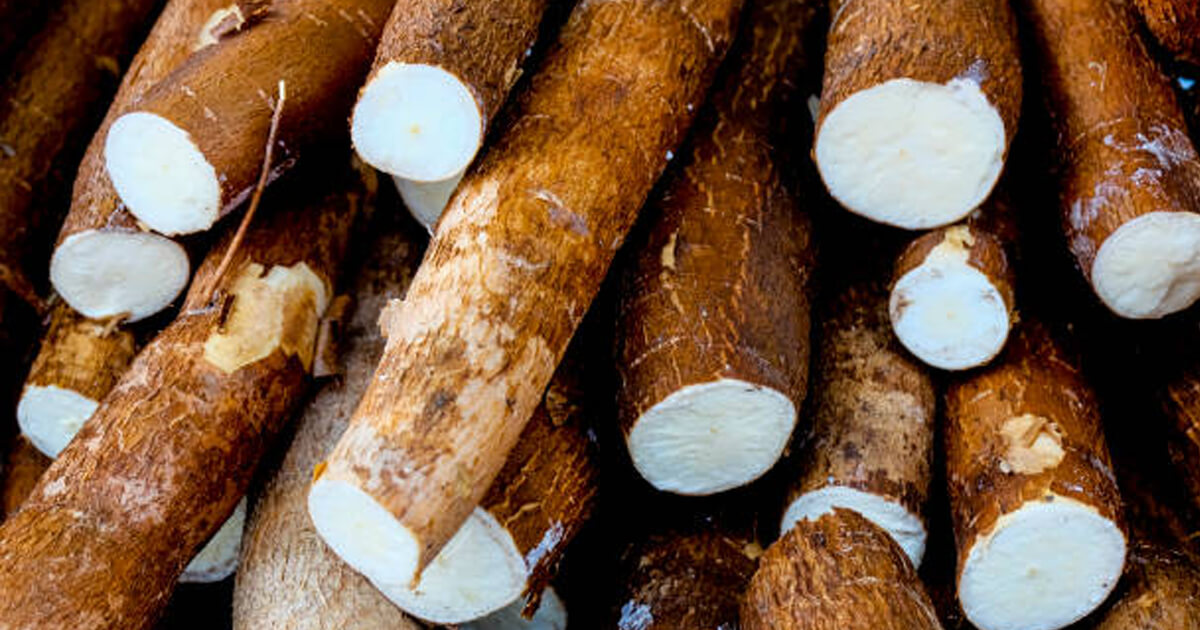 Cambios morfológicos y fisicoquímicos en almidón de yuca (Manihot esculenta) modificado por pirodextrinización e hidrólisis enzimática