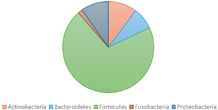Figura 1. Principales filos bacterianos identificados en la leche humana de las mujeres participantes.