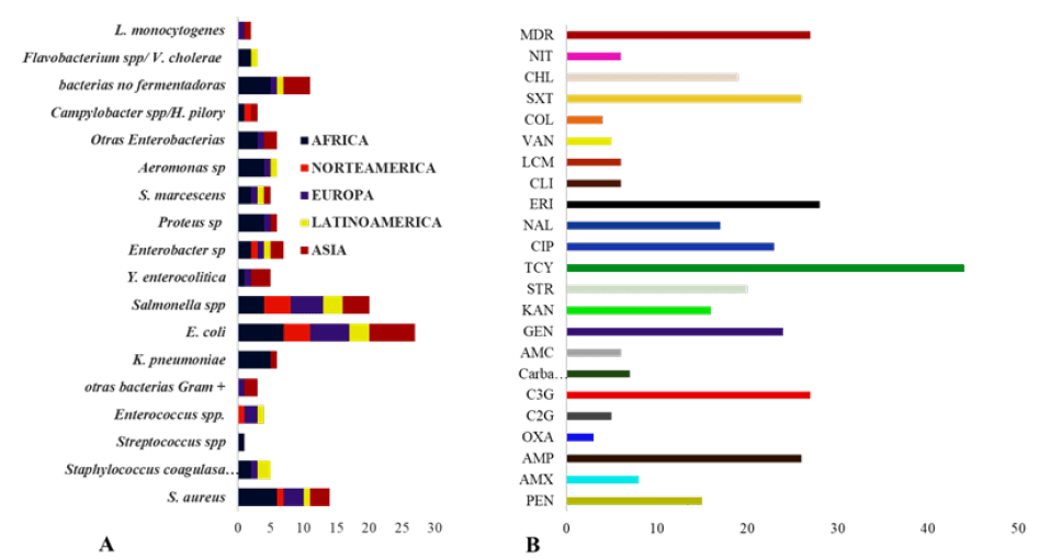 Figura 2. A. Distribución de los aislamientos bacterianos por continente según los estudios revisados. B. Antibióticos a los que se reportan resistencia en los artículos revisados. Penicilinas: penicilina (PEN), ampicilina (AMP), amoxicilina (AMX) oxacilina (OXA), amoxicilina-clavulánico (AMC), Cefalosporinas de primera generación (C1G): cefalotina (CEP), cefalexina (LEX), C2G: cefuroxima (CXM), cefoxitina (FOX), C3G:ceftazidima (CAZ), cefixima (CFM), cefotaxima (CTX), cefoperazona (CFP), Ceftriaxona (CRO), Ceftiofur (EFT), C4G: cefepime, Carbapenemes: Imipinem (IMP), meropenem (MEM), ertapenem (ETP), gentamicina (GEN), amikacina (AMK), kanamicina (KAN), estreptomicina (STR), neomicina (NEO), ácido nalidíxico (NAL), ciprofloxacino (CIP), norfloxacina (NOR), ofloxacino (OFX), eritromicina (ERI), tetraciclina (TCY), azitromicina (AZT), oxitetraciclina (OXT), vancomicina (VAN), colistina (COL), clindamicina (CLI), lincomicina (LCM), nitrofuratoína (NIT), cloranfenicol (CHL), trimetoprima-sulfametoxazol (SXT). 